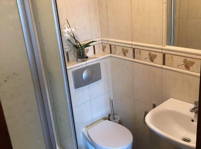 Goscinne Bursztynowa